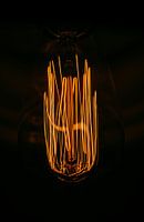 Glowing Filaments in Vintage Bulb