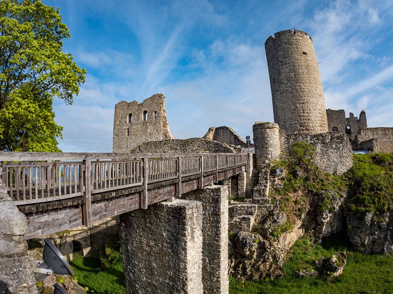Wolfstein castle ruin in Neumarkt in der Oberpfalz by Animaflora PicsStock
