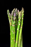 Asperges vertes sur fond noir