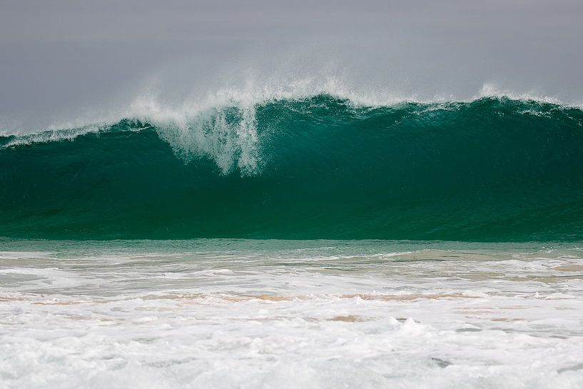 Tsunami by Peter van Dam