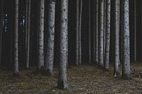 etwas Platz ist noch