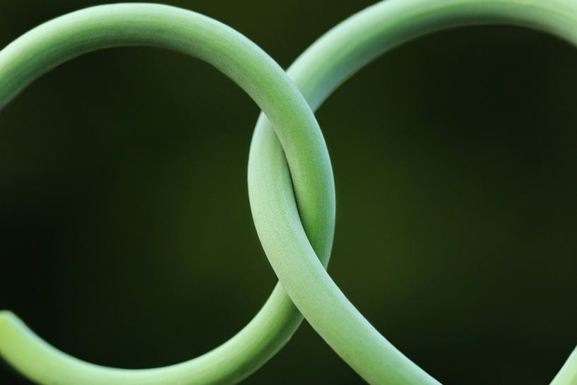 Gelöbnis par Heike Hultsch