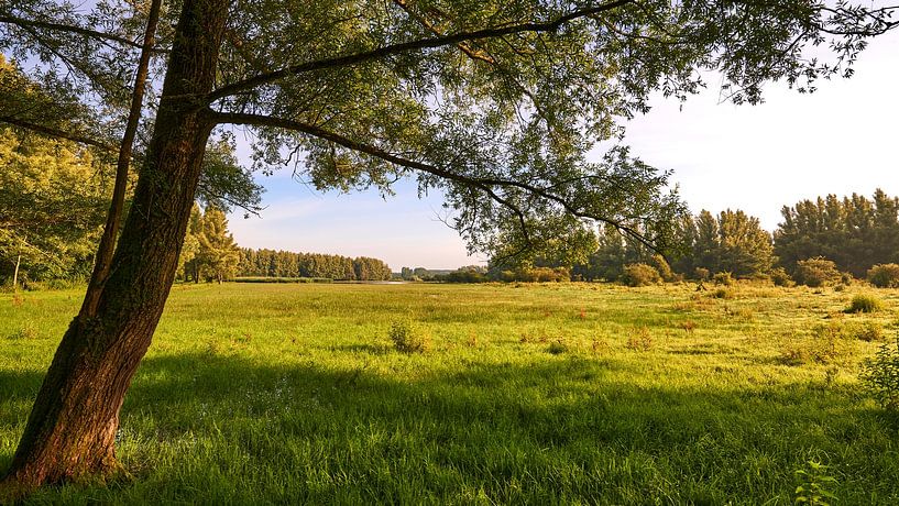 Extensive nature reserve Horsterwold by Jenco van Zalk