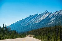 Canadian Rockies Roadtrip: Alberta, Canada