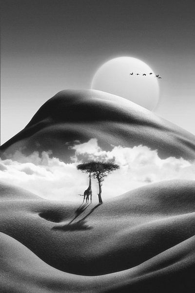 Kilimandscharo von Jonas Loose