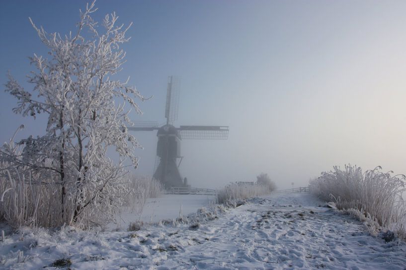 winter in holland von Ilya Korzelius