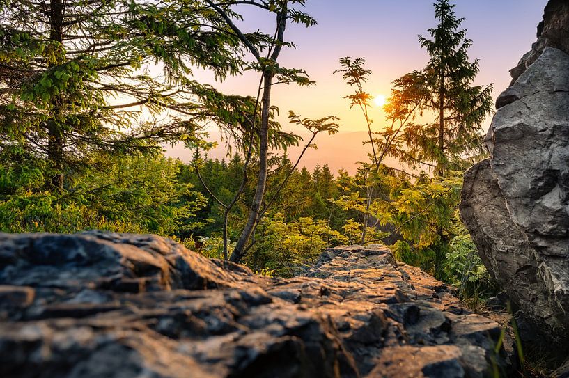 Le soleil sourit dans le Harz par Steffen Henze