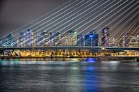 Rotterdam erasmusbrug