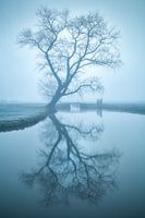 Spieglein, Spieglein...