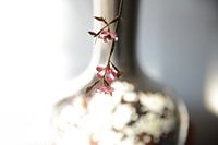 Zilveren vaas met roze kunstbloem in ochtendlicht