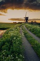 Sonnenaufgang im Polder