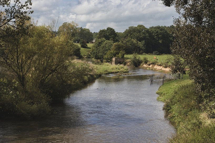 Fluss Semois, Tintigny, Belgien Landschaft von Imladris Images