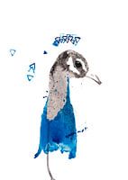 Illustration d'oiseau spécial paon