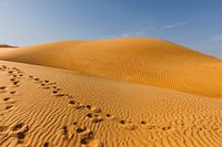 Muster in der Wüste Wahiba Sands in Oman