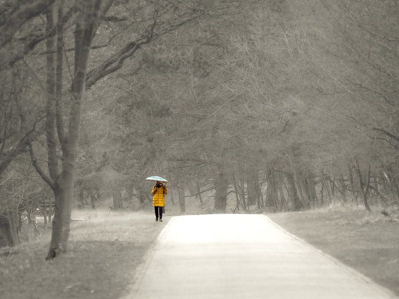 Morgenspaziergang im Wald von Dirk van der Plas