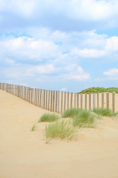 Zomer in de duinen bij het Noordzee strand van Sjoerd van der Wal Fotografie