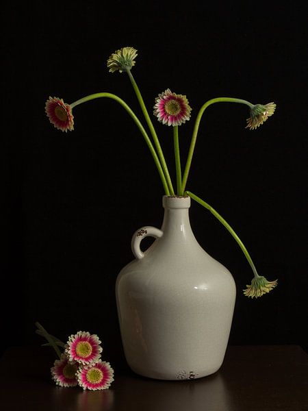 Stilleven by Mighuel Geutskens