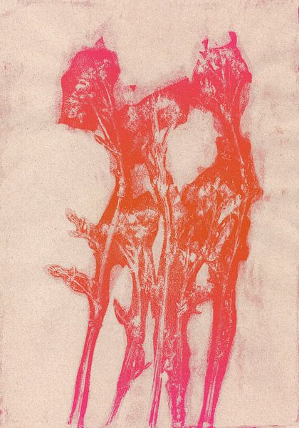 Summer flowers in neon orange and pink. by Dina Dankers