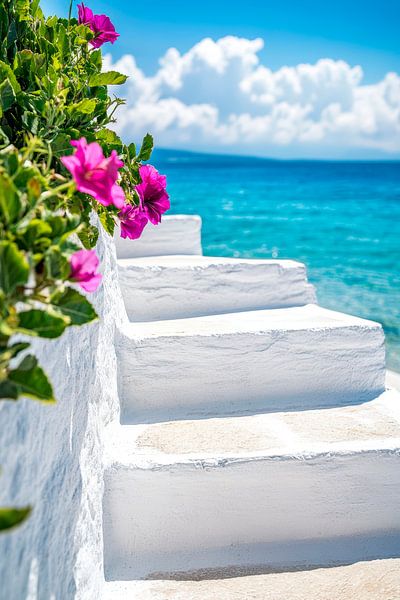 Marches côtières avec bougainvilliers par Poster Art Shop