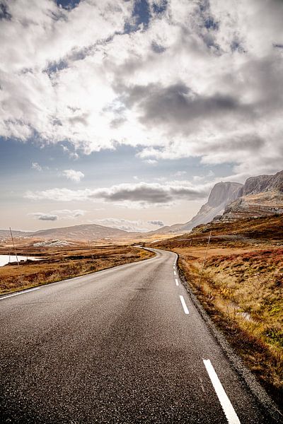 Curvy road in the Norwegian high mountains by Benjamien t'Kindt