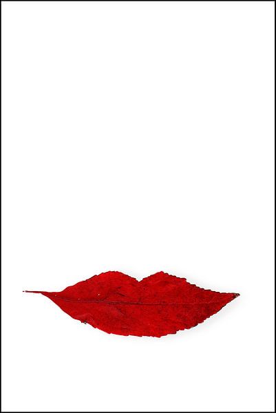 Herbstkuss von Henk Langerak