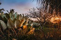 Les couleurs de la nature