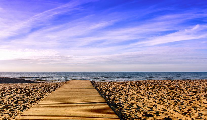 Auf das Meer starren, Nordseestrand, Koksijde von Manuel Declerck