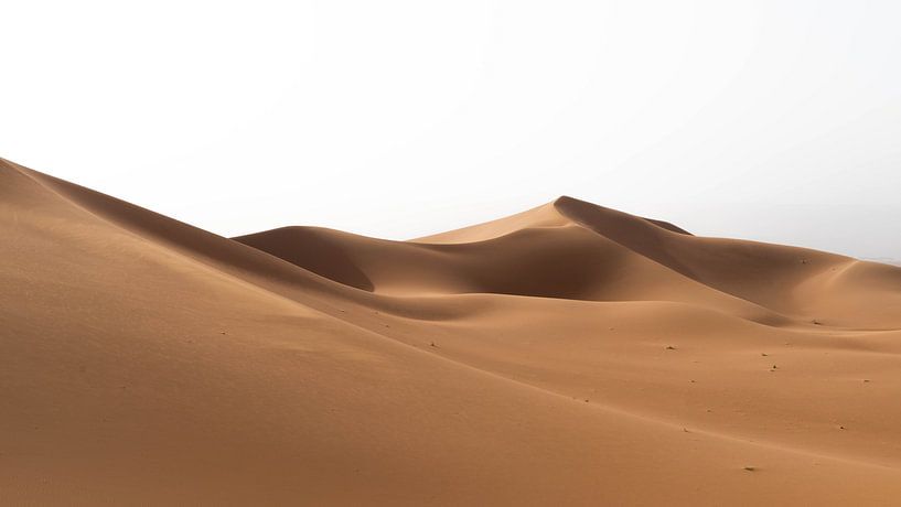 Sahara °6 von mirrorlessphotographer