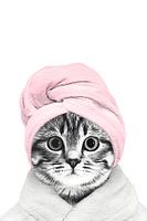 Katze mit Bademantel und Handtuch, lustiges Badezimmer