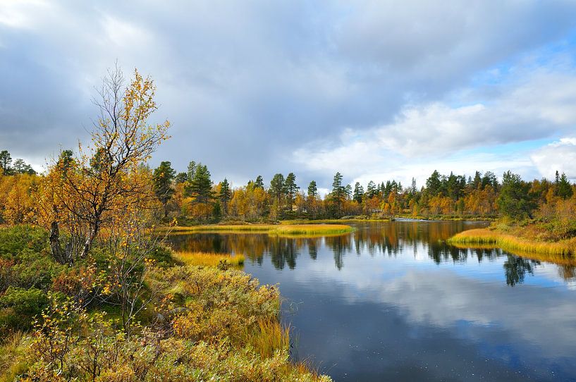Roe National Park by Karin Jähne