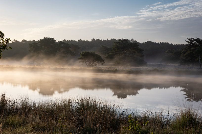 Spiegelung der Natur im Wasser mit Nebel. von Tim Lecomte