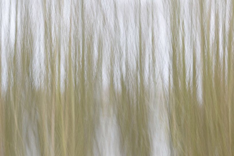 Hautes eaux par Huub Westendorp