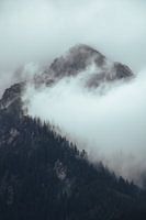 Hochkönig mit Wolken und Kiefern