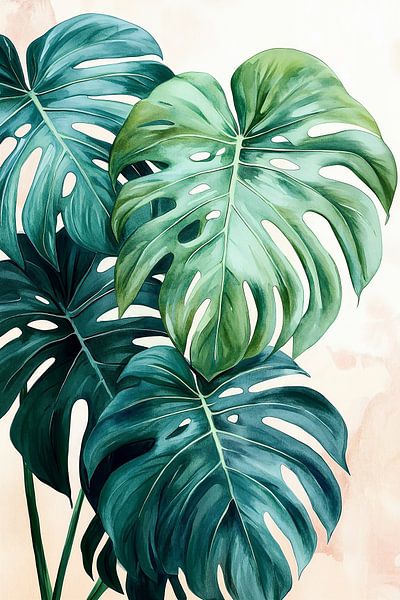 Monstera Deliciosa no.2 by Studio BB