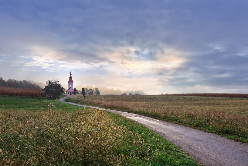 The pink church by René Pronk