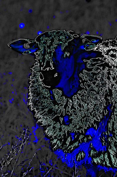 Sheep in Blue 2 von De Rover