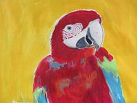 Papegaai, Parrot .  Marlys Natzijl