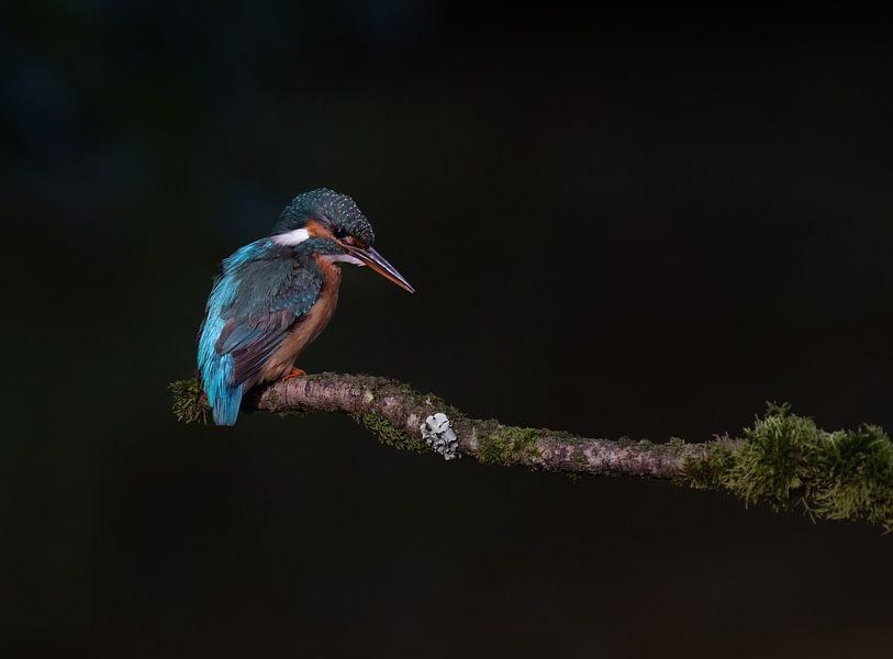 The fisherman! by Robert Kok