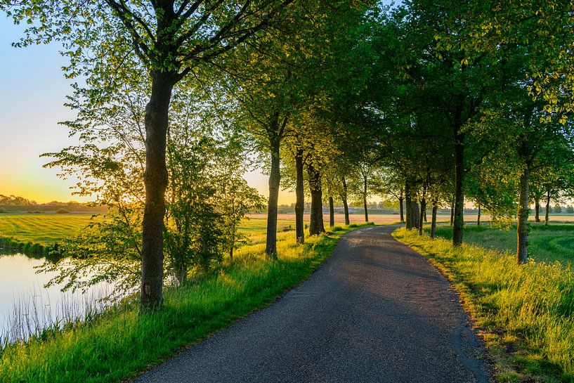 Frühmorgens Sonnenaufgang über dem Zwartendijk bei Kampen von Sjoerd van der Wal Fotografie