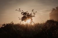 Ein Moment des Friedens