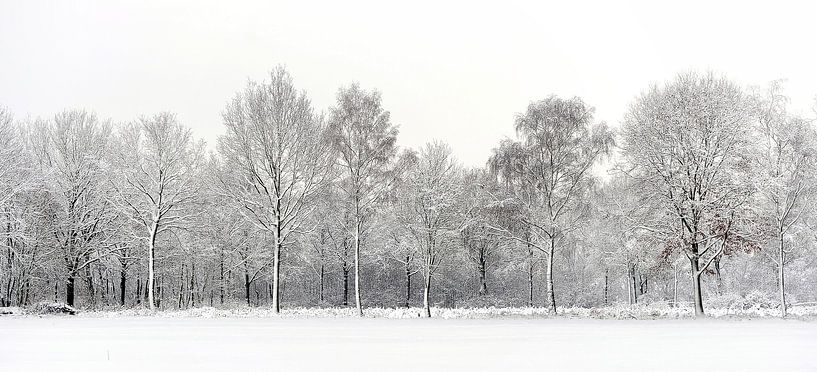 Schöne Winterszene nach Schneefall - verschneite Landschaft von Chi