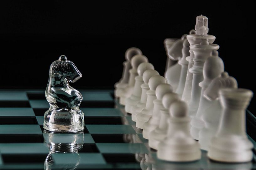 brave horse by Stijn Vanelderen