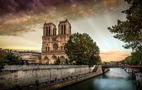 Notre Dame Sunset