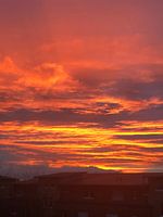 Über den Dächern von