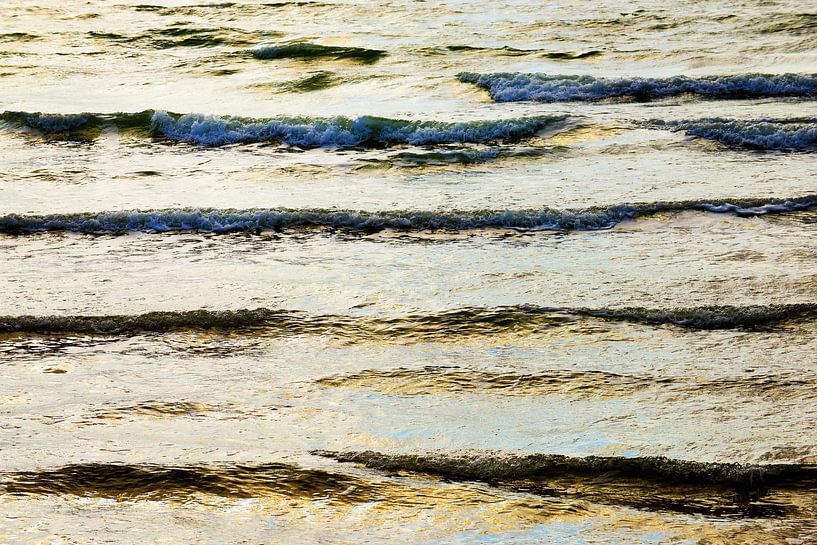 Das goldene Meer von Blond Beeld