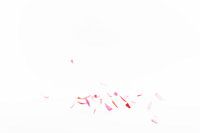 vallende bloemblaadjes 1