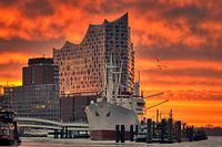 Hamburg - Elbphilharmonie (Elphi) und Landungsbrücken