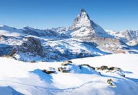 Ski Matterhorn Zermatt Schweiz