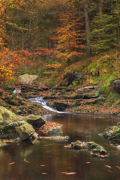 Autumn by Jan Koppelaar Fotografie
