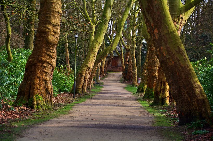 Castle park 30 by Edgar Schermaul